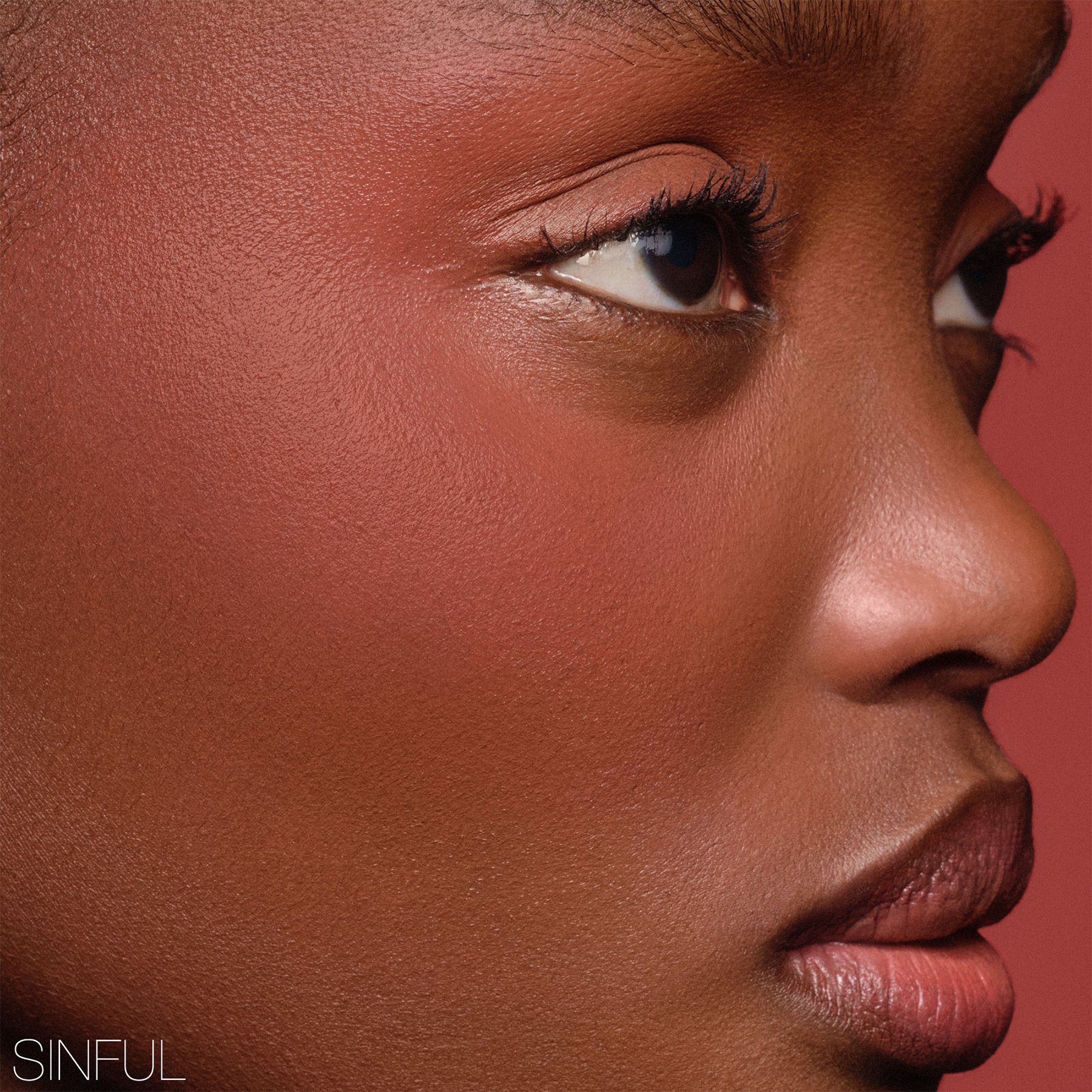 THE MULTIPLE (L&Aacute;PIZ MULTIUSOS)